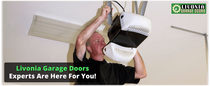 Garage Door Maintenance Livonia